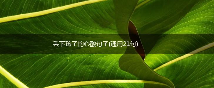 丢下孩子的心酸句子(通用21句),第1张