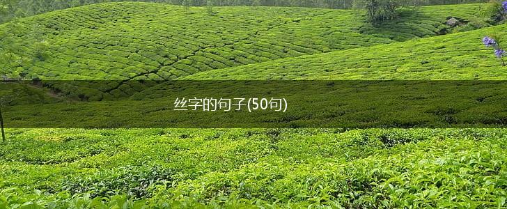 丝字的句子(50句),第1张