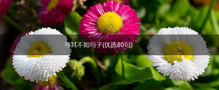 与其不如句子(优选80句),第1张