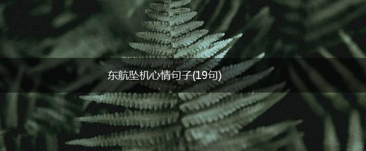 东航坠机心情句子(19句),第1张