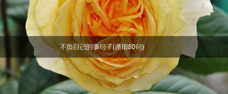 不负自己的事句子(通用80句),第1张