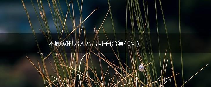 不顾家的男人名言句子(合集40句),第1张