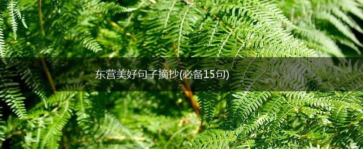 东营美好句子摘抄(必备15句),第1张