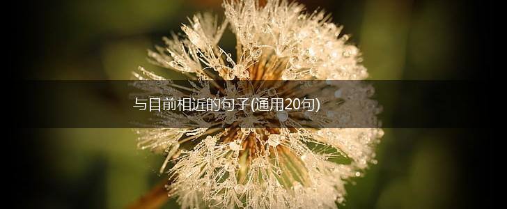 与目前相近的句子(通用20句),第1张