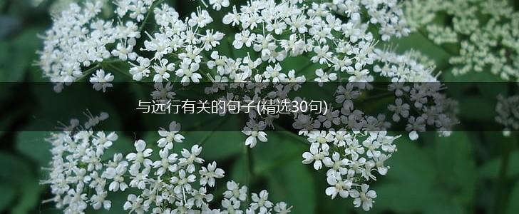 与远行有关的句子(精选30句),第1张