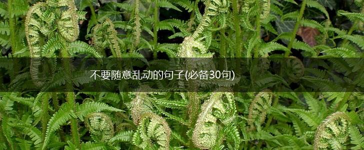 不要随意乱动的句子(必备30句),第1张