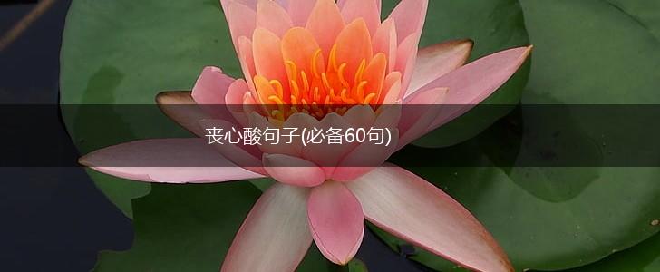 丧心酸句子(必备60句),第1张