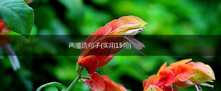 两靥造句子(实用15句),第1张