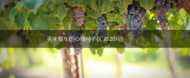 丢失爱车的心情句子(汇总20句),第1张