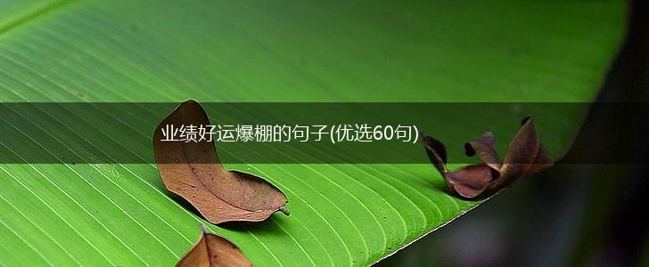 业绩好运爆棚的句子(优选60句),第1张