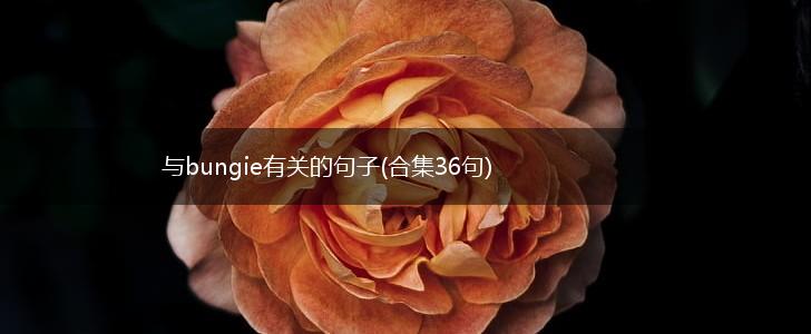 与bungie有关的句子(合集36句),第1张