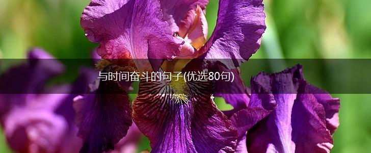 与时间奋斗的句子(优选80句),第1张