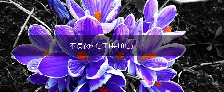 不误农时句子(共10句),第1张