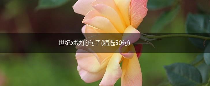 世纪对决的句子(精选50句),第1张