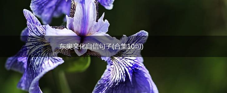 东奥文化自信句子(合集10句),第1张
