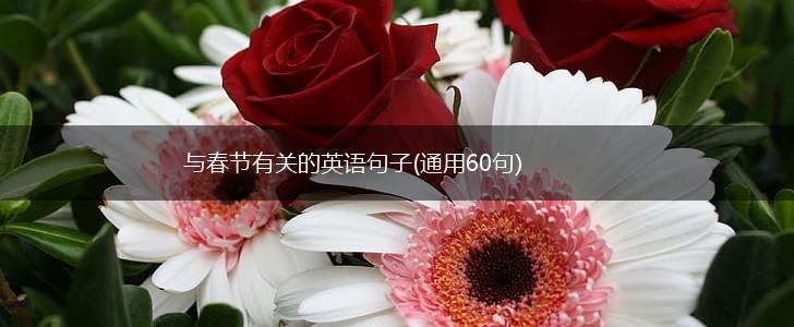 与春节有关的英语句子(通用60句),第1张