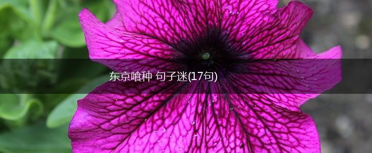 东京喰种 句子迷(17句),第1张