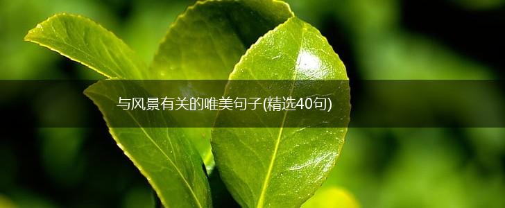 与风景有关的唯美句子(精选40句),第1张