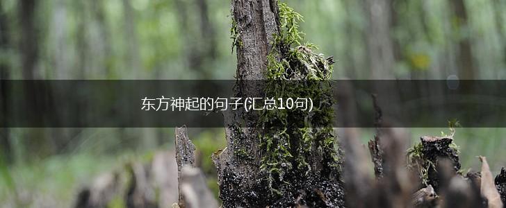 东方神起的句子(汇总10句),第1张