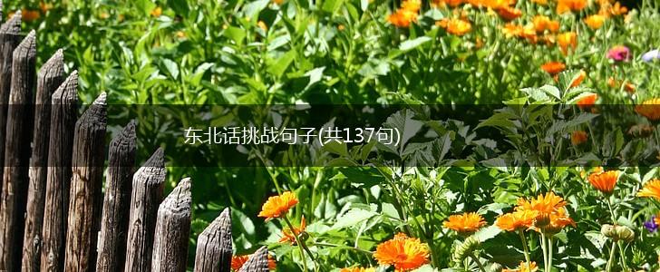 东北话挑战句子(共137句),第1张