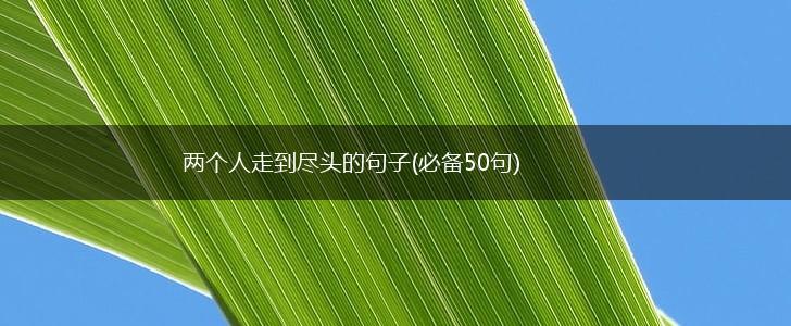 两个人走到尽头的句子(必备50句),第1张