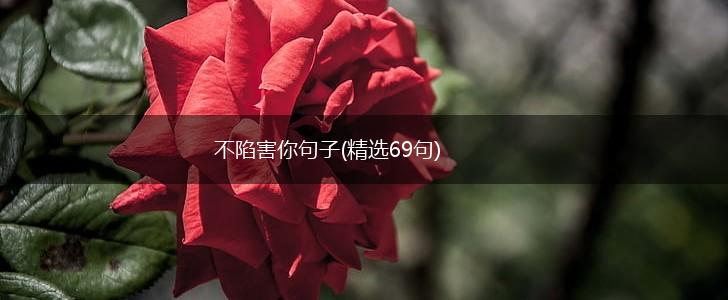 不陷害你句子(精选69句),第1张