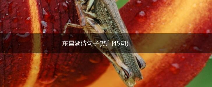 东昌湖诗句子(热门45句),第1张