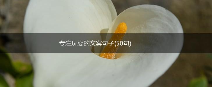 专注玩耍的文案句子(50句),第1张