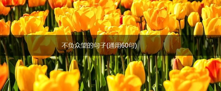 不负众望的句子(通用60句),第1张
