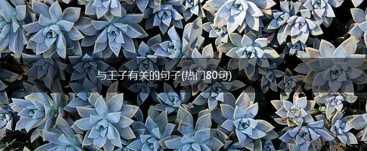 与王子有关的句子(热门80句),第1张