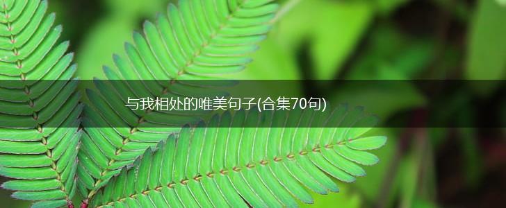 与我相处的唯美句子(合集70句),第1张