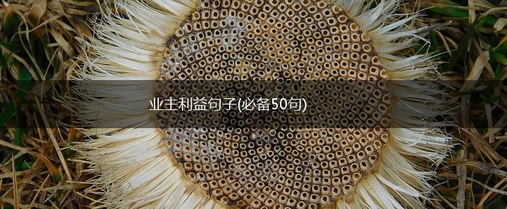 业主利益句子(必备50句),第1张