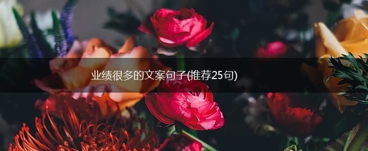 业绩很多的文案句子(推荐25句),第1张