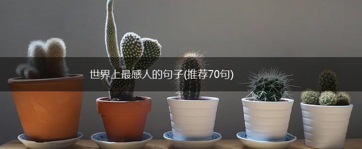 世界上最感人的句子(推荐70句),第1张