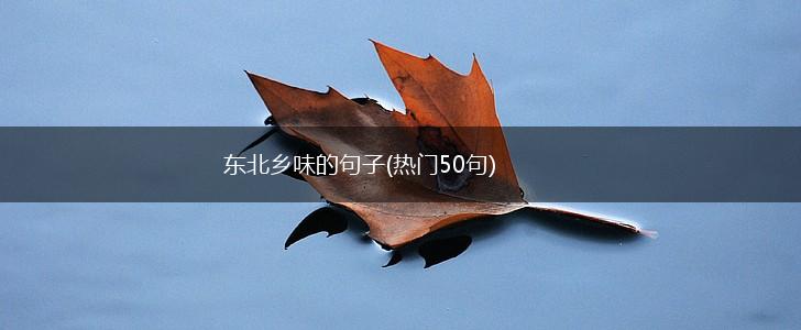东北乡味的句子(热门50句),第1张