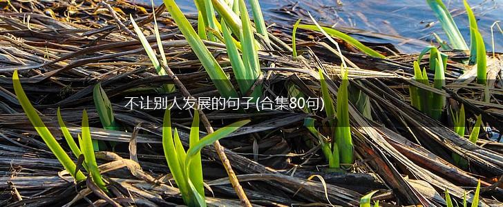 不让别人发展的句子(合集80句),第1张