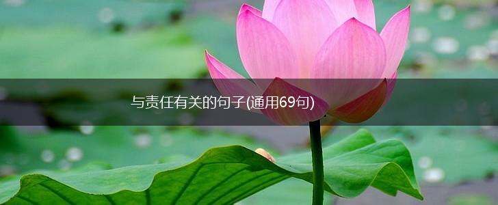 与责任有关的句子(通用69句),第1张