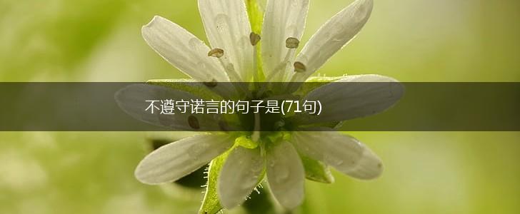 不遵守诺言的句子是(71句),第1张