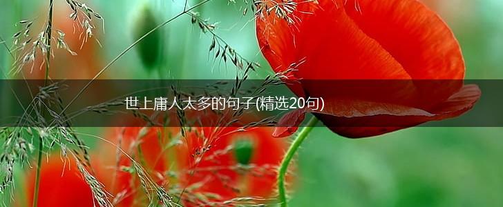 世上庸人太多的句子(精选20句),第1张