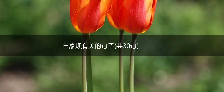 与家规有关的句子(共30句),第1张