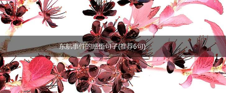 东航事件的感悟句子(推荐6句),第1张