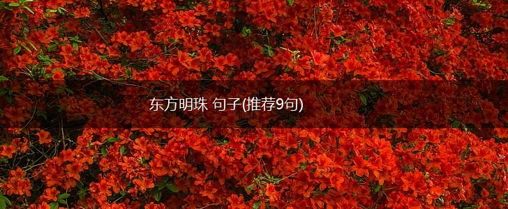东方明珠 句子(推荐9句),第1张