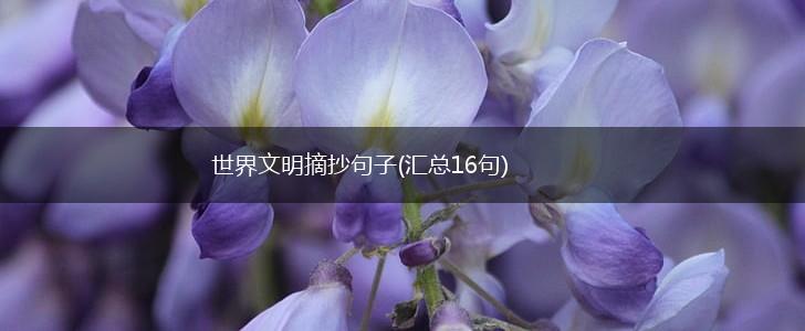 世界文明摘抄句子(汇总16句),第1张