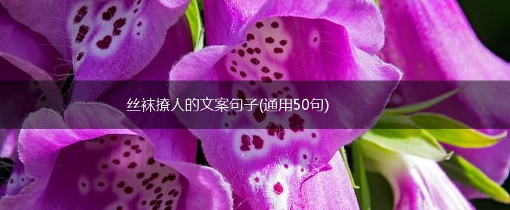 丝袜撩人的文案句子(通用50句),第1张