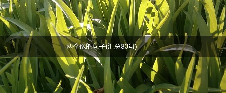 两个像的句子(汇总80句),第1张