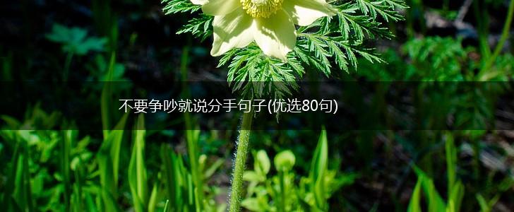 不要争吵就说分手句子(优选80句),第1张