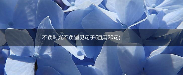 不负时光不负遇见句子(通用20句),第1张