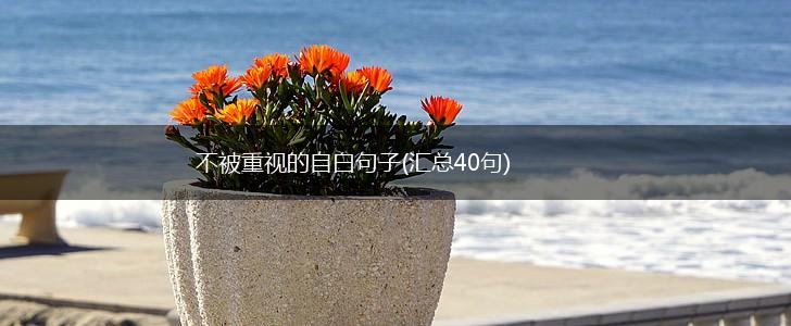 不被重视的自白句子(汇总40句),第1张