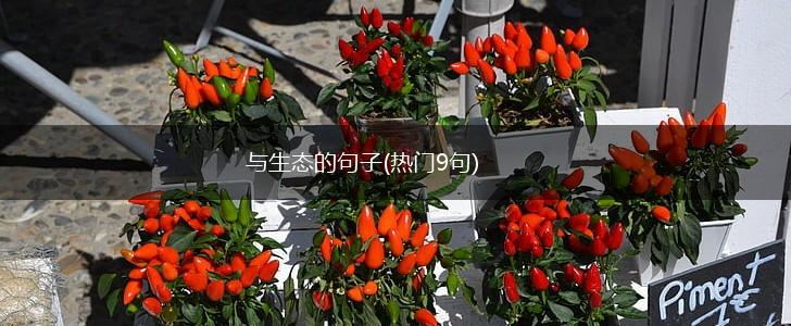 与生态的句子(热门9句),第1张