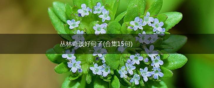 丛林奇谈好句子(合集15句),第1张